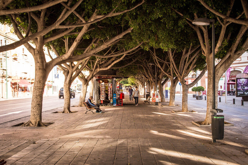 Paseo de Reding de Málaga